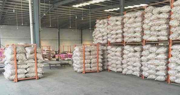 建一個生姜保鮮冷庫成本及存儲技術 建一個生姜保鮮冷庫成本及存儲技術