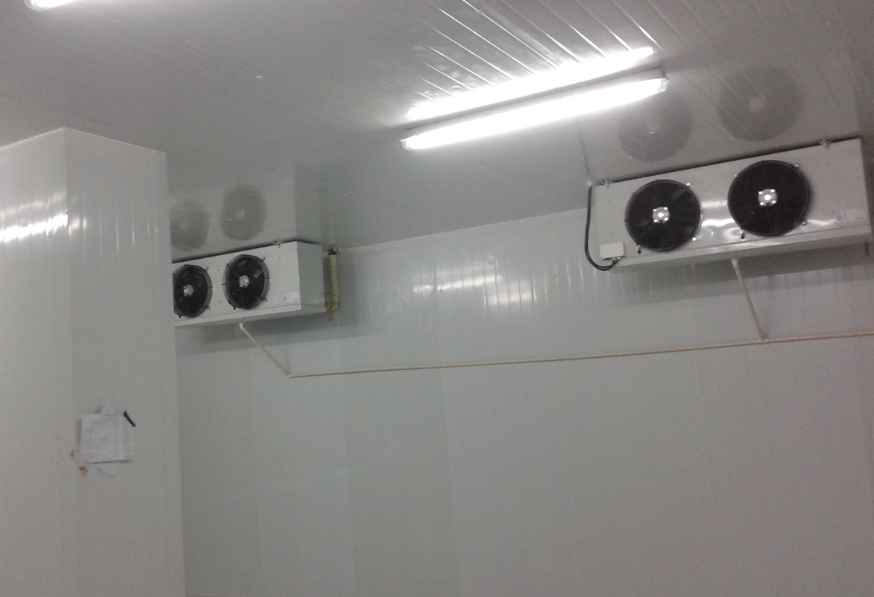 上海地區(qū)小型保鮮冷庫建造費用多少錢？